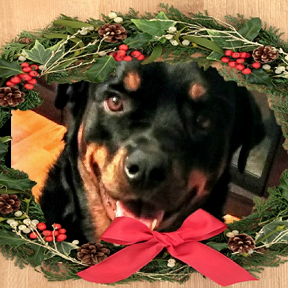 Meet your Posher, Allen